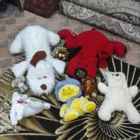 عروسک همه باهم ۷۰۰