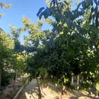 ۴۰۰متر سند دار باغ ویلا/ معاوضه