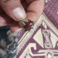 انگشتر فیروزه نیشابوری و عقیق یمنی