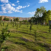 باغ ۱/۵۰۰ متری سند تکبرگ، راه ماشین رو دارای استخر