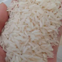 برنج هاشمی