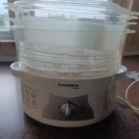 بخار پز