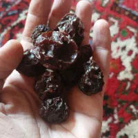 سنجد|خوردنی و آشامیدنی|تهران, فرودگاه مهرآباد|دیوار