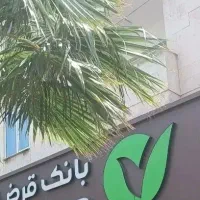 ضامن