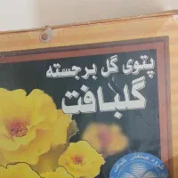 پتو گل بافت گل برجسته