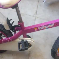 خرید دوچرخه    شادی دختر دلبنتان