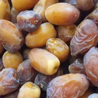 رطب کبکاب اهرم