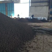 خوراک دام نیشکر