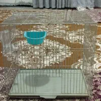 قفس پرنده