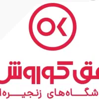 استخدام همکار اقا و خانوم در فرانچایز افق کوروش