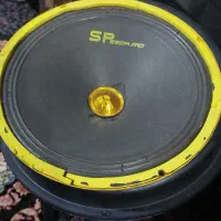 میدرنج سایز ۱۰