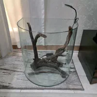 اکواریوم باچوب ابنوس