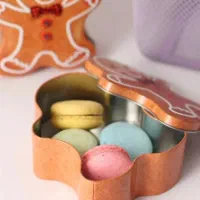 بیسکوییت خوری طرحدار فلزی