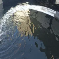 باغ با درختان اصلاح شده بارده۰