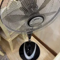 پنکه سانی  ایستاده