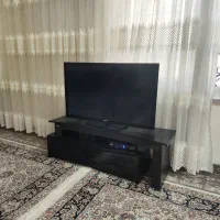 ریز تلویزیون