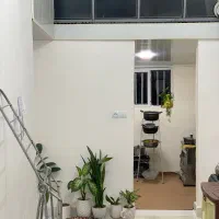 سوییت-اجاره-ای-گیلان