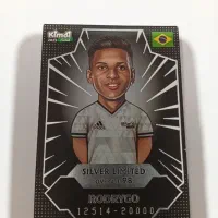 کارت کیمدی سیلور لمیتد رودریگو