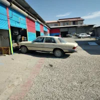 استخدام
