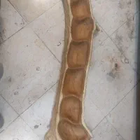اردور خوری