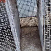 قفس اهنی ۲ عده