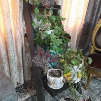 استند طرح پله