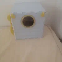 لونه عروس هلندی، کوتوله