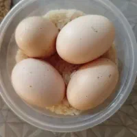 تخم مرغ لاری