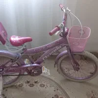 شلف وقفسه