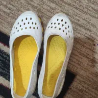 کفش|کیف، کفش، کمربند|شیراز, آبیاری|دیوار
