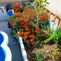 خانه ویلایی