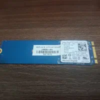 SSD WD 256