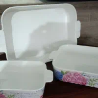دیس مرغ خوری
