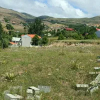 فروش زمین در دیلمان مناسب ساخت ویلا