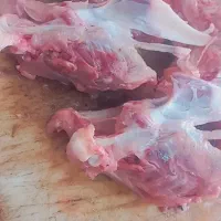 واگذاری سگ قبول میکنم