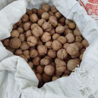 گردو درجه یک با قیمت اقتصادی