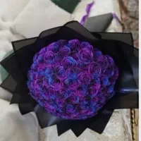 گل روبانی کهکشانی