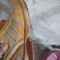 کتونی zx سفارش کره اند
