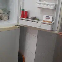 یخچال وفریزر دودرب سونیا