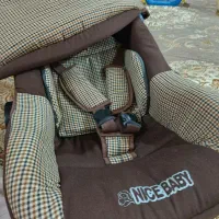 کریر نوزاد