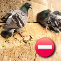نصب توری ضد زنگ بالکن جلوگیری ورود کبوتر و  پت