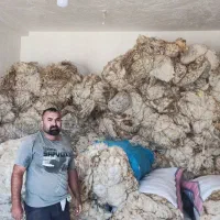 پشم فروشی حمیدی
