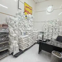 فروش عمده برنج ایرانی هاشمی صدری فجر