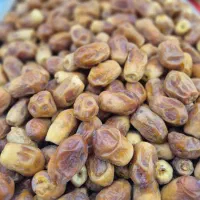 خرما زاهدی ، رطب عسلی ، خرمای بی هسته