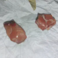 مهر و سنگ زنده عقیق یمنی