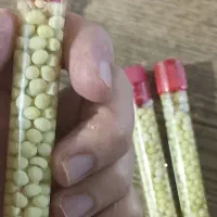 حلزون و تخم حلزون