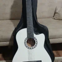 گیتار نو