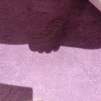 موکت در حد نو گل دار