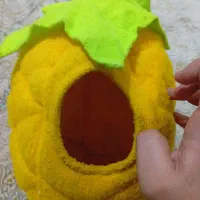 لانه پرنده