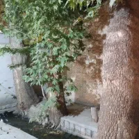 خونه باغ کوچک با آب روان ماهان